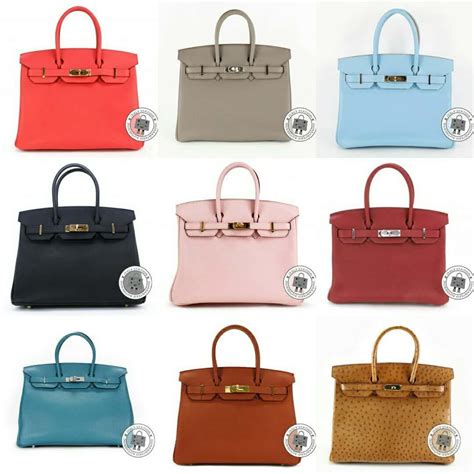 famous Hermes bag